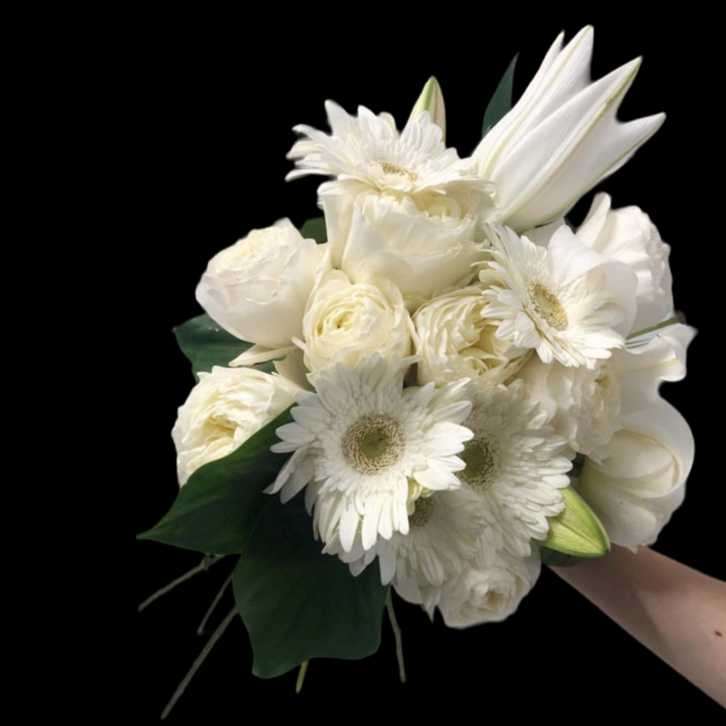 Designer Choice White Bunch