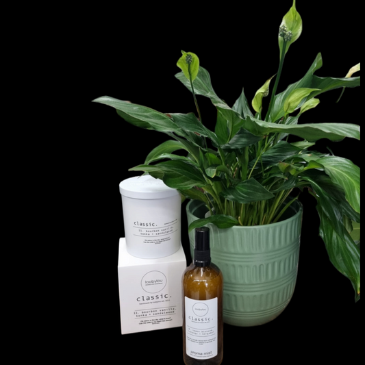 Peace Lily Plant Hamper