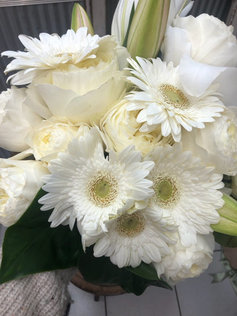 Designer Choice White Bunch