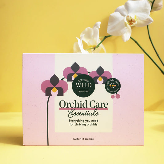 We The Wild Orchid Care Kit